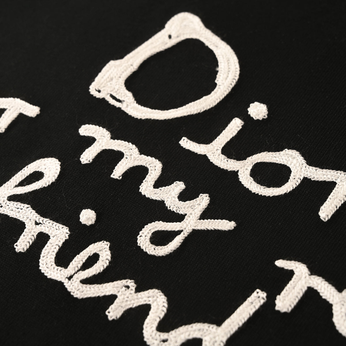 Christian Dior Signature Lettering Embroidered T-Shirt, Short Sleeve Tee for Casual Streetwear