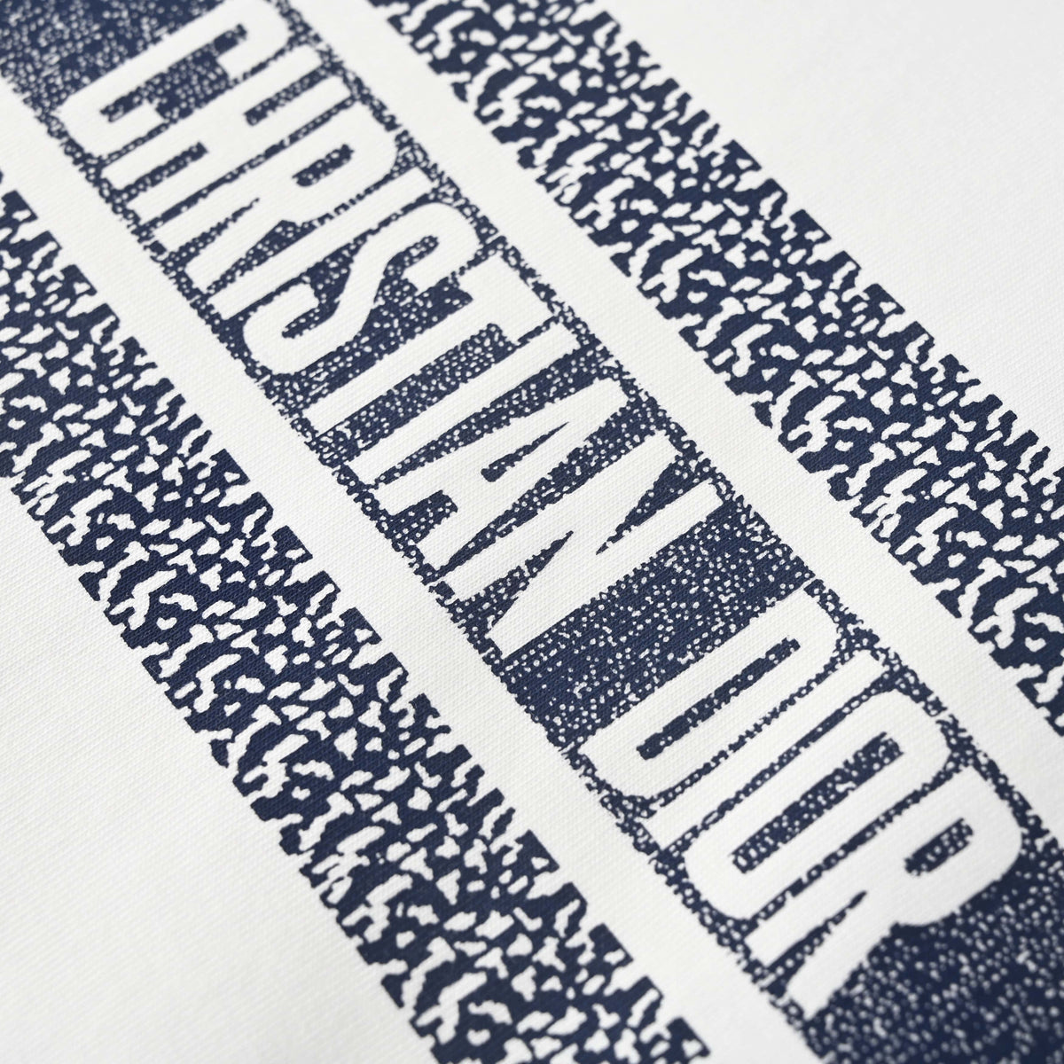 Christian Dior Blue Stripe Lettering Print T-Shirt, Short Sleeve Graphic Tee for Casual Summer Outfits