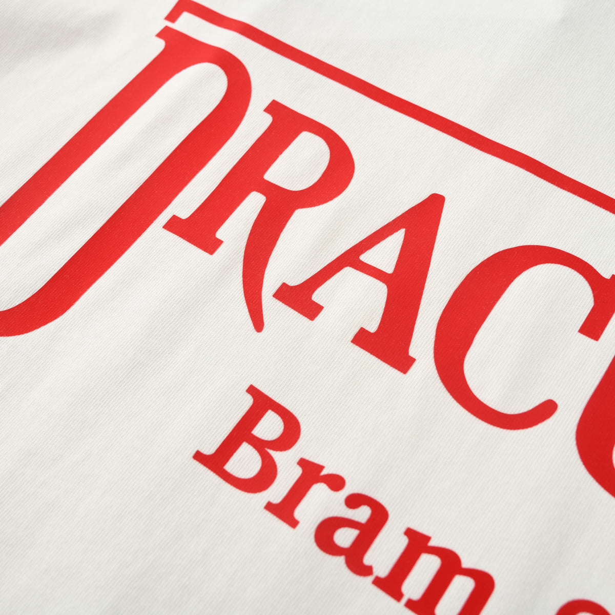 Christian Dior Dracula Book Cover Graphic T-Shirt, Red-Frame Lettering Short Sleeve Tee