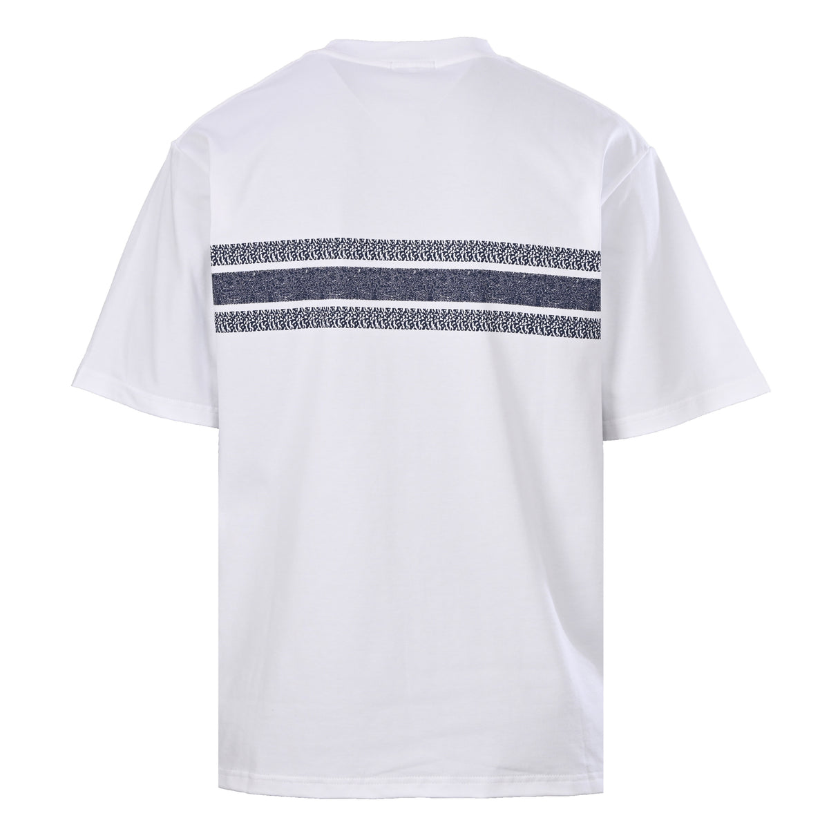 Christian Dior Blue Stripe Lettering Print T-Shirt, Short Sleeve Graphic Tee for Casual Summer Outfits