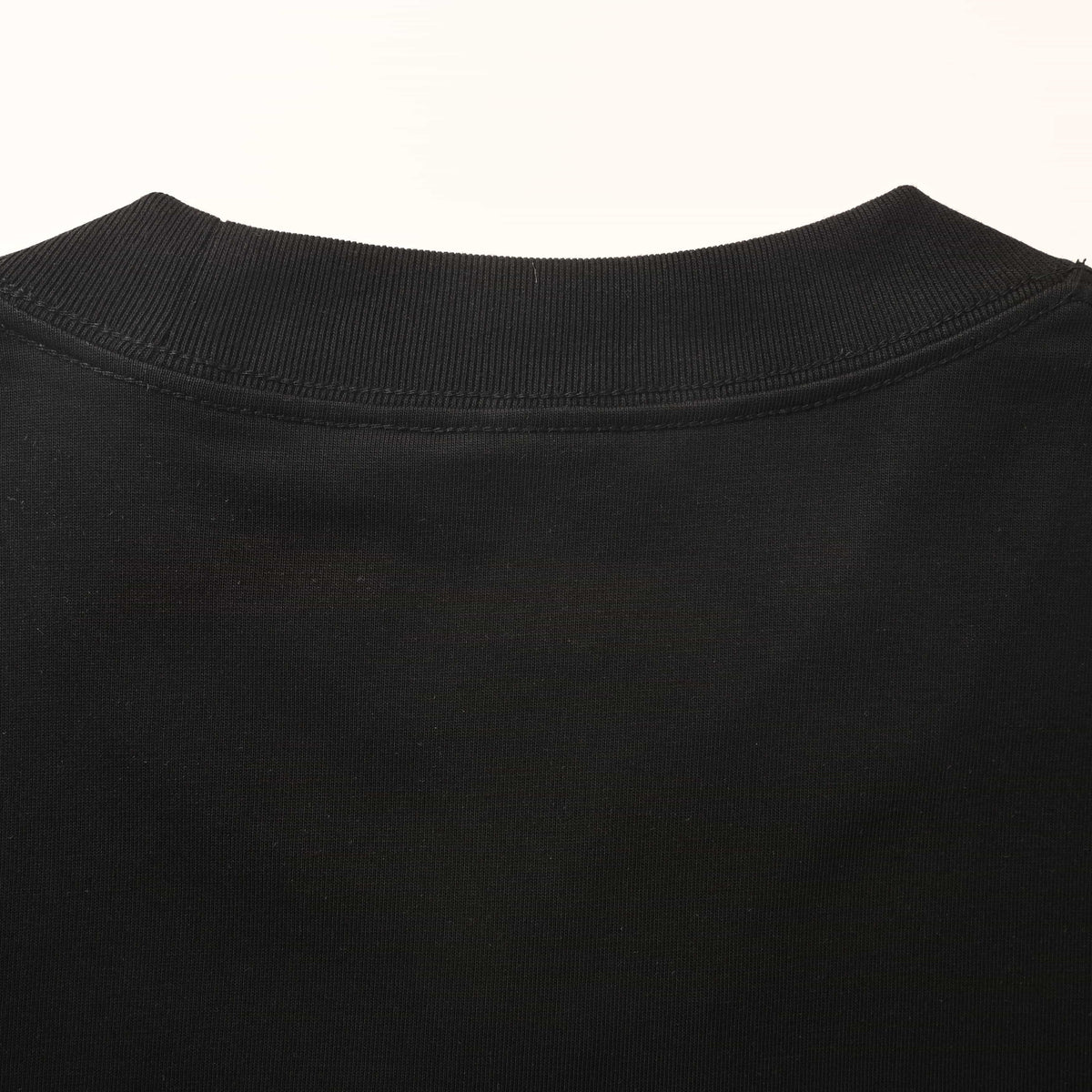 Christian Dior Ink-Wash Flying Bird Graphic T-Shirt with Lettering and Short Sleeves for Art-Inspired Streetwear