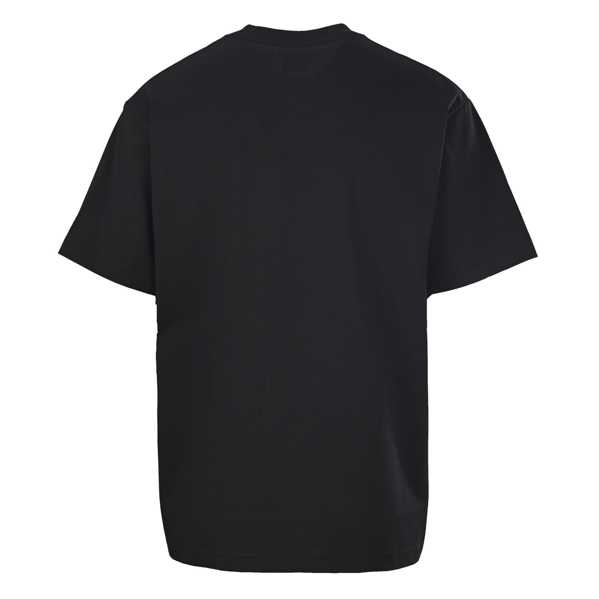 Christian Dior Ink-Wash Flying Bird Graphic T-Shirt with Lettering and Short Sleeves for Art-Inspired Streetwear