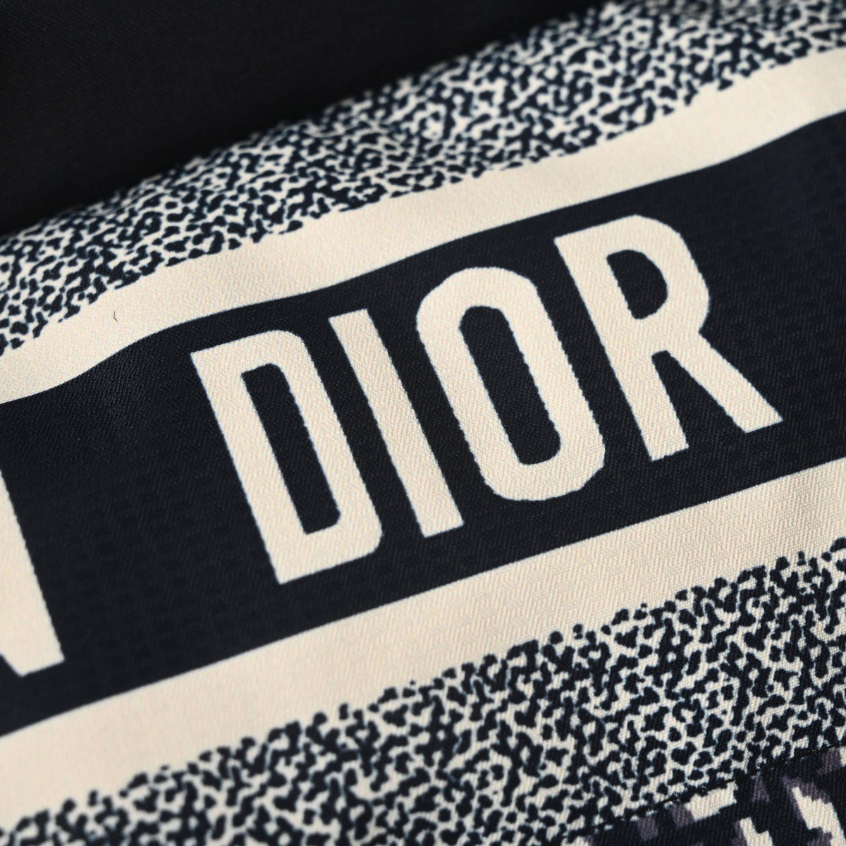 Christian Dior Reversible Down Jacket with Classic All-Over Monogram, Winter Outerwear
